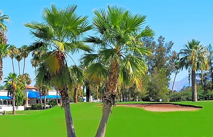 Arizona Golf & Conference Center 4* Mesa